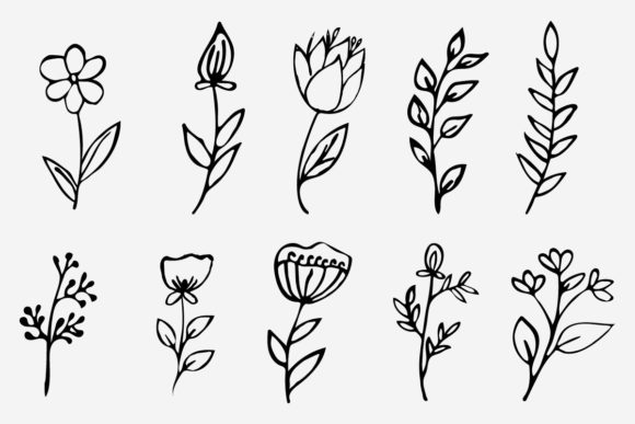 Floral Illustration Flower Line Art for Modern Design