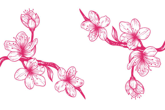 Sakura Cherry Blossom Branch Line Art Guide