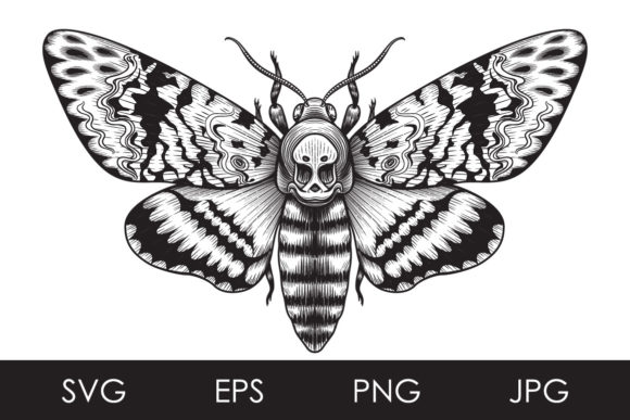 The Allure of the Death's Head Hawk Moth: A Vintage Monochrome Masterpiece for Modern Creators